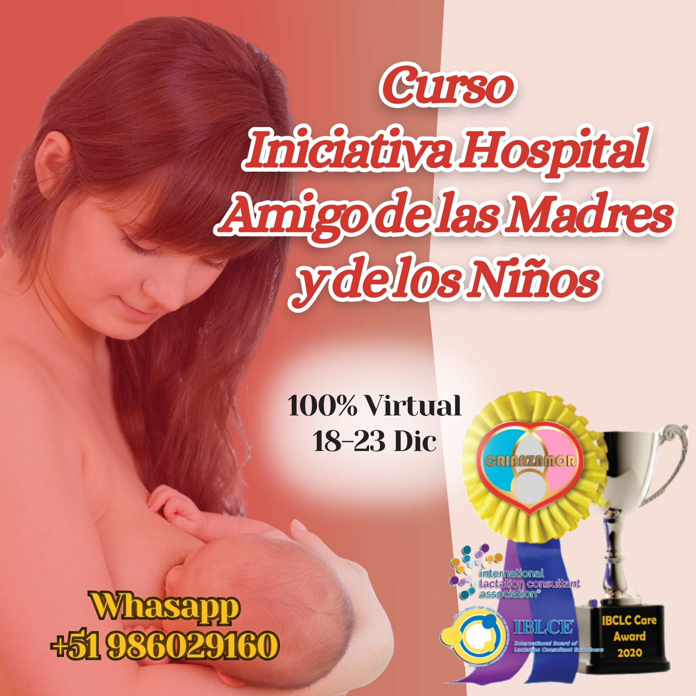 Curso Iniciativa Hospital Amigo de las Madres y de los niños